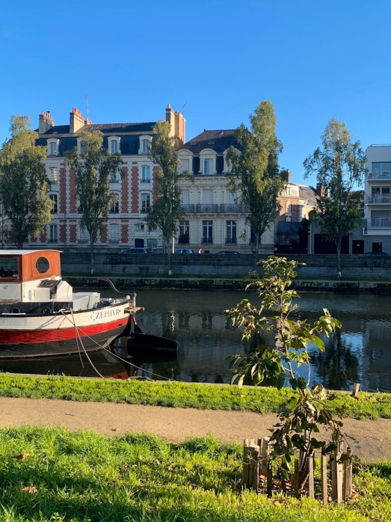 Hostel Rennes youth hostel center CHU Saint Martin